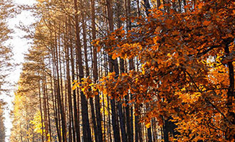 快手上市倒计时，十年历程汇聚流量汪洋，商业化进程一路高歌